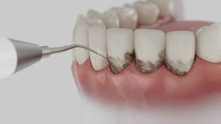 Reliable Dental contractor in Parshall, ND by Dentist Open Now